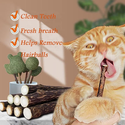 10 PCS Catnip Sticks Organic Cat Chew Toys Natural Plant Matatabi Silvervine Chew Sticks Teeth Cleaning Chew Toy Kitten Kitty