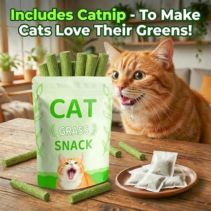 Cat Grass Treat Cats Toy 100g/3.53oz Freeze Dried Catnip Toys Kitten Chew Stick for Removal Hairballs for Cleaning Teeth Indoor Kitty Dental Care Lickable Edible Snack