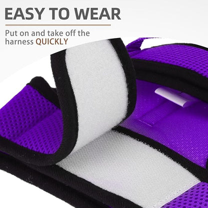 PUPTECK Soft Mesh Cat Vest Harness and Leash Set Puppy Padded Pet Harnesses Escape Proof for Cats Small Dogs Rabbits Bunny