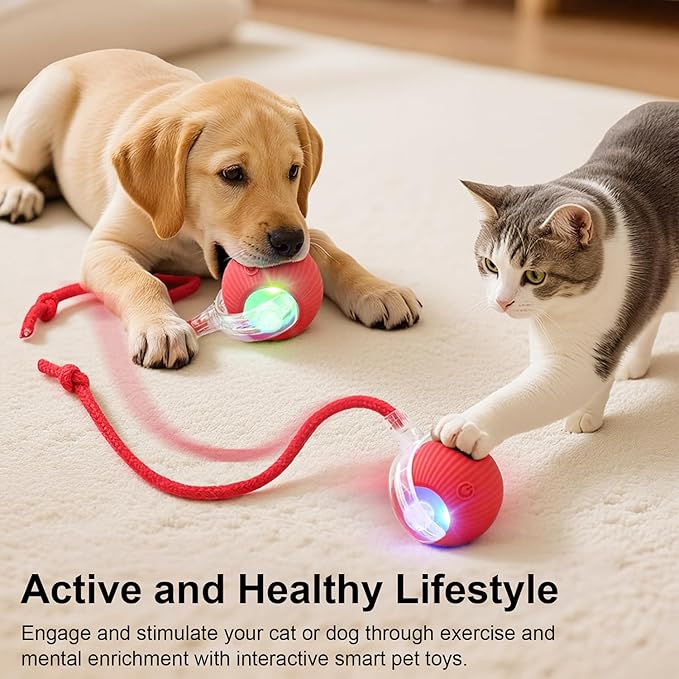 Interactive Electric Automatic Rolling Moving USB Rechargeable Self Activated Play Stimulation Toy Smart Chase Teaser Ball with Rope for Bored Adult Indoor Kitten & Cat and Puppy & Dog, Red