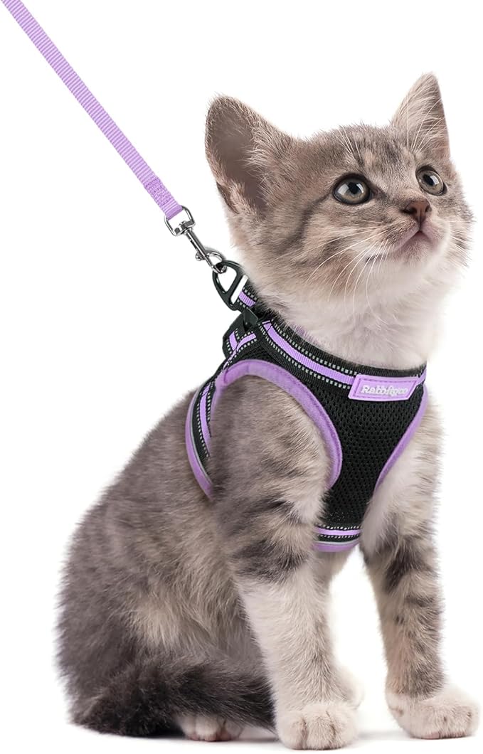 rabbitgoo Cat Harness and Leash Set for Walking Escape Proof, Adjustable Soft Kittens Vest with Reflective Strip for Cats, Comfortable Outdoor Vest, Black & Light Purple, S