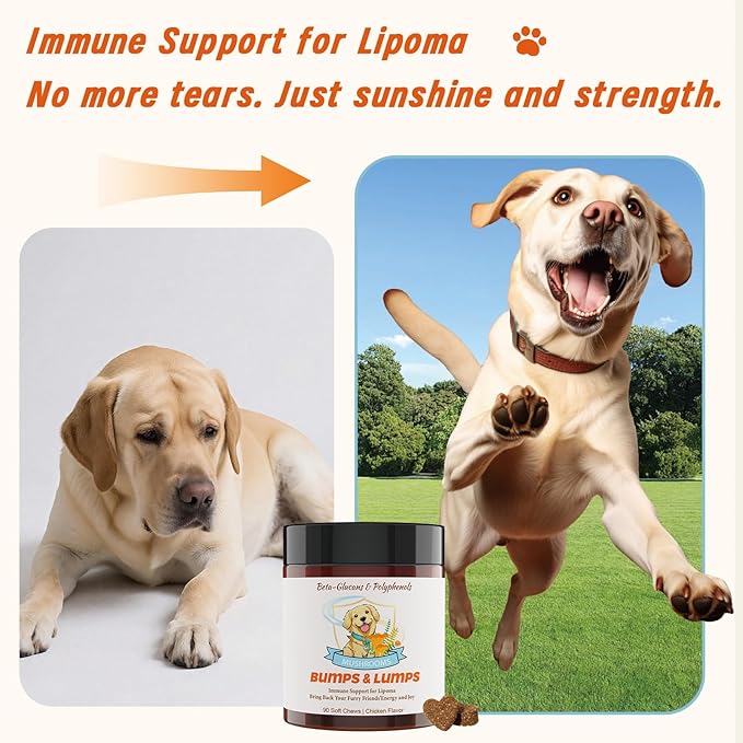 Natural Lipoma Support for Dogs, 7 Organic Mushroom Blend with Beta-Glucans, Boosts Immunity, 1500mg High Potency Turkey Tail, Reishi, Lion's Mane Helps Reduce Lumps & Bumps, 90 Chicken Soft Chews