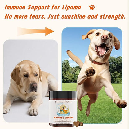 Natural Lipoma Support for Dogs, 7 Organic Mushroom Blend with Beta-Glucans, Boosts Immunity, 1500mg High Potency Turkey Tail, Reishi, Lion's Mane Helps Reduce Lumps & Bumps, 90 Chicken Soft Chews