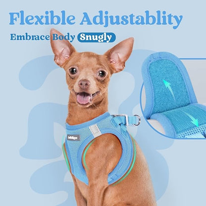 rabbitgoo Small Dog Harness, Step-in Soft Mesh Puppy Vest with Safety Buckle, Breathable Reflective Pet Harness for Small Medium Dogs, Blue L