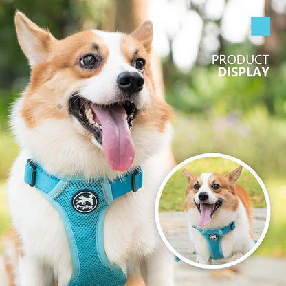 PoyPet Reflective Soft Breathable Mesh Dog Harness No Choke Double Padded Vest Adjustable(Light Blue,L)