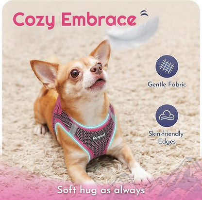 Eagloo Small Dog Harness and Leash Set, Step in Puppy Vest with Breathable Soft Mesh, Walking Reflective Pet Harness for Small Dogs, Rose Red, S
