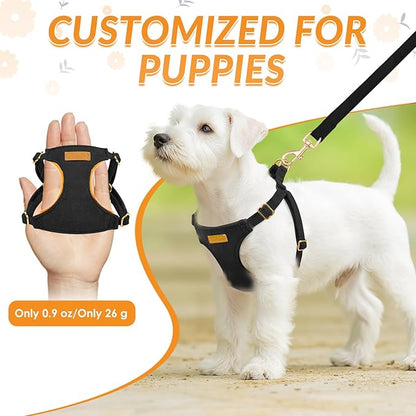 SlowTon Dog Harness Small Sized Dog - Soft XXS Dog Harness and Leash Set No Pull No Chock, Adjustable Lightweight Puppy Harness for XS Small Medium Dogs Cats (Solid Black, S)