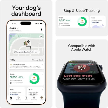 Fi New Series 3+ Smart Dog Tracker Collar [12 Month Membership Included] GPS Tracker for Dogs with Health & Behavior Monitoring, Escape Alerts, Waterproof, LED, Apple Watch Compatible (Blue, Small)