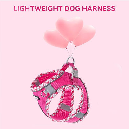 Petank Dog Harness for Small Medium Dogs No Pull, Puppy Harness and Leash Set for Walking, Running, Training, Small Dog Harness, Medium Dog Harness (Rose Red, M)