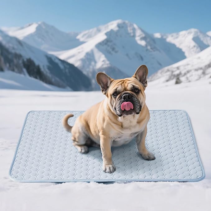 Soulbond Cooling Mat for Medium Dogs - 29"x40" Washable Cooling Pad for Dogs & Cats, QMAX>0.3, Anti-Slip Bottom, Portable Summer Cool Pet Bed Pad for Outdoor/Indoor/Cars/Travel Use, Light Blue