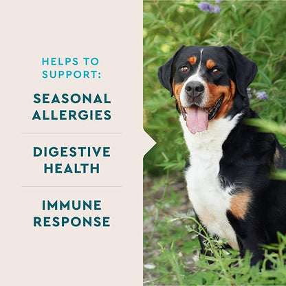 VetIQ Allergy Pro+ Soft Chews for Dogs, Dog Allergy Chews, Seasonal Support, Colostrum, Astragalus Root, Sporevia, Hickory Smoke Flavor, 60 Count