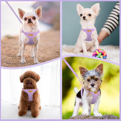 SlowTon Dog Harness Small Sized Dog - Soft XXS Dog Harness and Leash Set No Pull No Chock, Adjustable Lightweight Puppy Harness for XS Small Medium Dogs Cats (Solid Purple, XXS)