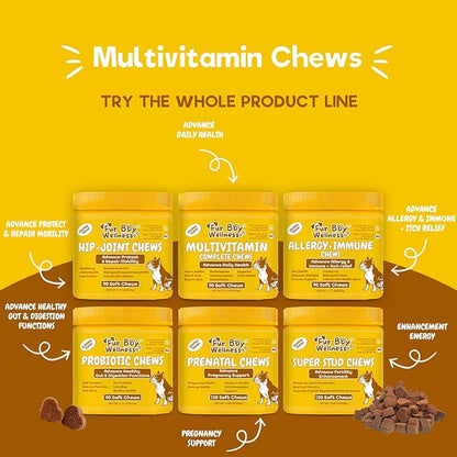 Maximum Support Daily Dog Multivitamin – Advanced Care Formula for Fast Relief of Hip & Joint, Skin & Coat, Immune & Allergy Health – Glucosamine, Chondroitin, Probiotics & Omega Fish Oil – 90 Chews