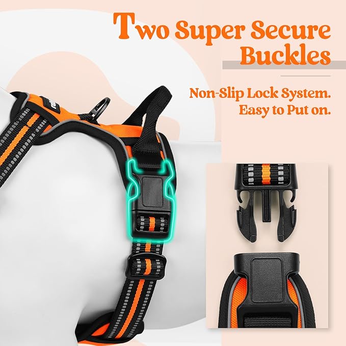 rabbitgoo Dog Harness No Pull with 2 Leash Clips, Adjustable Soft Padded, Reflective Oxford No Choke Pet Vest with Easy Control Handle for Medium Sized Dogs,Orange, M