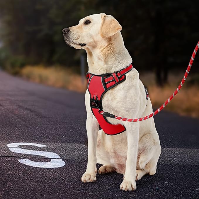 IVY&LANE No Pull Dog Harness for Large Dogs, Dog Vest Harness with Leash, Safety Belt and Storage Strap, Fully Adjustable Harness, 360° Reflective Strip, Soft Handle (Red, XL)