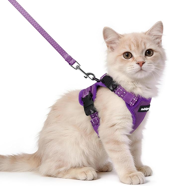 rabbitgoo Cat Harness and Leash, Escape Proof Vest with 3 Adjustable Buckles, Soft Comfortable Kitten Harness, Easy to Wear, Reflective for Safe Outdoor Walking, XS, Purple