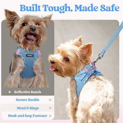 rabbitgoo Dog Harness Small Sized and Leash Set, Step in Soft Light Puppy Vest, Breathable Mesh Pet Harness, Reflective for Safe Easy Walking, Blue & Plaid Trim S