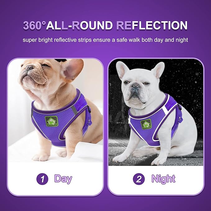 FEimaX Dog Harness and Leash Set, No-Pull Breathable Soft Mesh Puppy Vest Harness Reflective Adjustable Pet Harnesses for Small Medium Dogs and Cats - Outdoor Easy Control for Walking (M, Purple)
