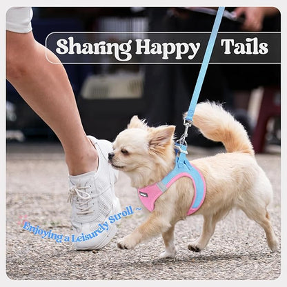 rabbitgoo Dog Harness Small Sized and Leash Set, Step in Soft Light Puppy Vest, Breathable Mesh Pet Harness, Reflective for Safe Easy Walking, Blue & Light Pink M