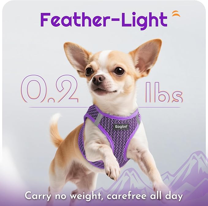 Eagloo Small Dog Harness and Leash Set, Step in Puppy Vest with Breathable Soft Mesh, Walking Reflective Pet Harness for Small Dogs, Purple, XXS