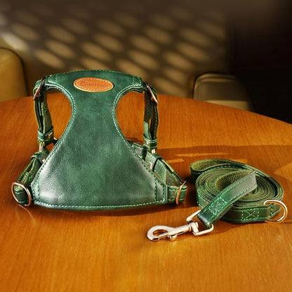 Beirui ‌Stylish PU Leather Dog Harness‌ and Leash Set for Small Dogs, ‌Adjustable Step in Dog Vest Harness with Breathable Mesh Lining and Durable Metal Buckle for Walking Traveling(Green,M)