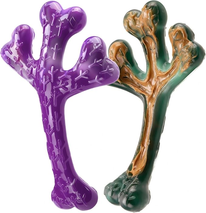 Frienhund 2 Pack Indestructible Dog Chew Toys for Aggressive Chewers - XL Textured Cactus with Grooves for Peanut Butter & Yogurt, Beef Nylon Bones for Large Dogs 20-90 lbs, Easy Chew & Long Lasting