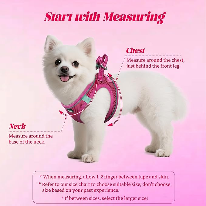 YIMEIS Dog Harness and Leash Set, No Pull Soft Mesh Pet Harness, Reflective Adjustable Puppy Vest for Small Medium Large Dogs, Cats (Rose Red, X-Small (Pack of 1)