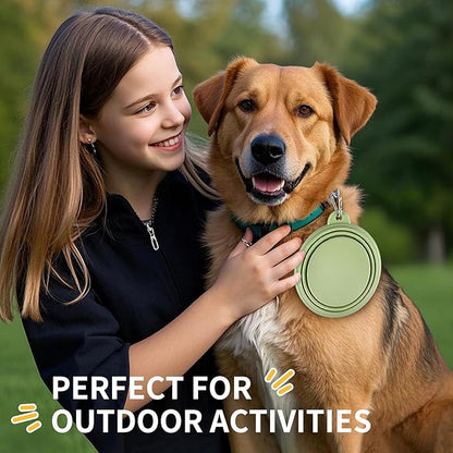 Collapsible Dog Bowls 2-Pack, Portable Travel Dog Bowl with Carabiner, Food-Grade Silicone Pet Bowl for Hiking, Walking (Macaron Blue and Green)