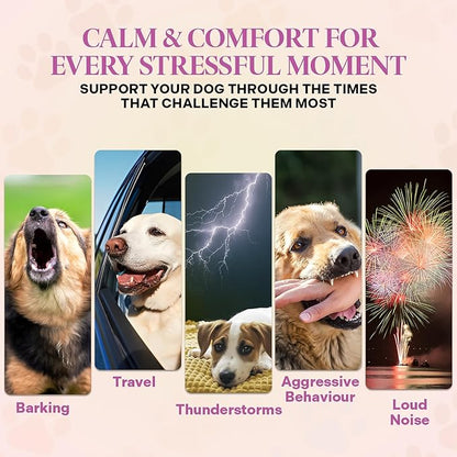 Healthy Dogma - Peaceful Pooch | Powder Calming Supplement for Dogs Dealing with Anxiety, Separation Stress, Noise, Thunder and Barking (6 Oz)
