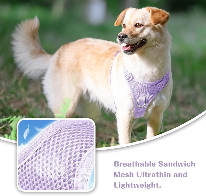 No Pull Dog Harness for Small Medium Large Dogs - Adjustable 2 Layer Mesh Dog Vest with Dual Clip, Escape Proof, Quick Release, Lightweight Breathable Mesh for Walking Hiking (Light Purple,S)