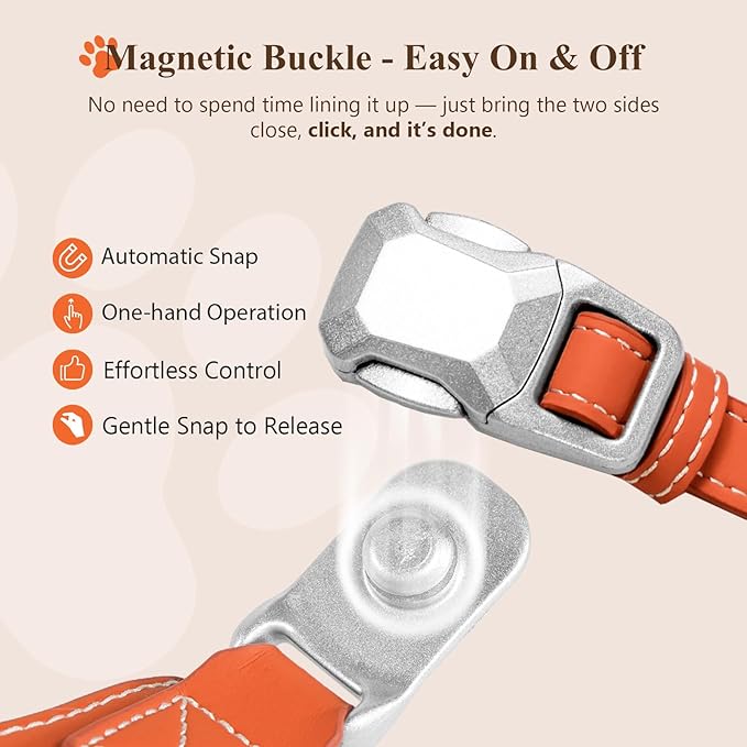 Magnetic Dog Harness and Leash Set with Quick Release Buckle, Easy On & Off Faux Leather Puppy Harness and Leash with Handle for Medium, Large Sized Dog