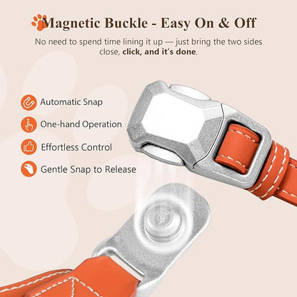 Magnetic Dog Harness and Leash Set with Quick Release Buckle, Easy On & Off Faux Leather Puppy Harness and Leash with Handle for Medium, Large Sized Dog