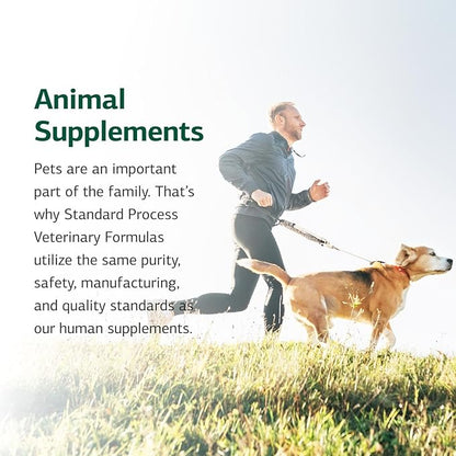 Standard Process Canine Immune System Support - Immune Support Supplement for Dogs - Powder Canine Supplement Aids Overall Health & Wellness - Immunity Support Supplement with Zinc & Kelp - 30 g