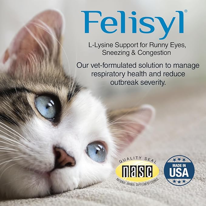 Felisyl L-Lysine Gel for Cats & Kittens (5oz) – Immune System, Respiratory & Eye Health Support. Reduces Sneezing, Runny Nose & Watery Eyes. Daily Salmon-Flavor Supplement – Made in USA (1 Pack)