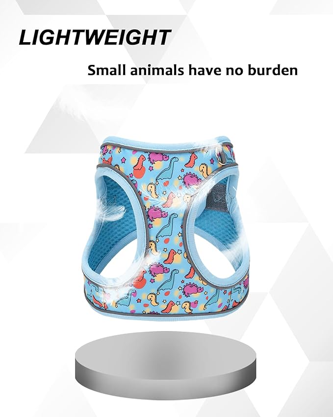 M Blue Dinosaur Pattern Dog Harness and Leash Set,No Escape Puppy Harnesses for Training Walking，Breathable Adjustable Puppy Vest for Small Medium Dogs, Cats (Blue, M)