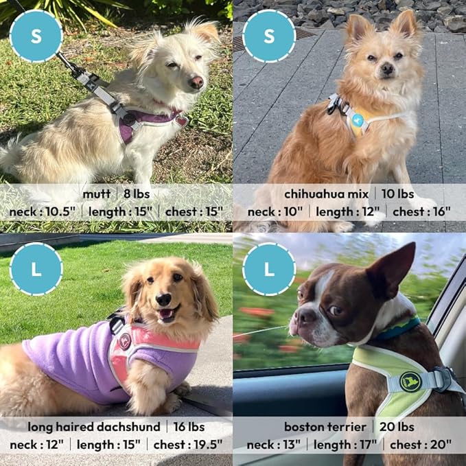 Gooby Simple Step in III Harness - Pink, Small - Small Dog Harness with Scratch Resistant Outer Vest - Soft Inner Mesh Harness for Small, Medium Dogs
