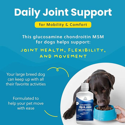 Liquid Glucosamine for Dogs 2600mg, Hip & Joint Supplement with Chondroitin & MSM, 32 oz Mobility Support for Large Dogs, Human-Grade Joint Care Made in GMP & FDA Registered Facility