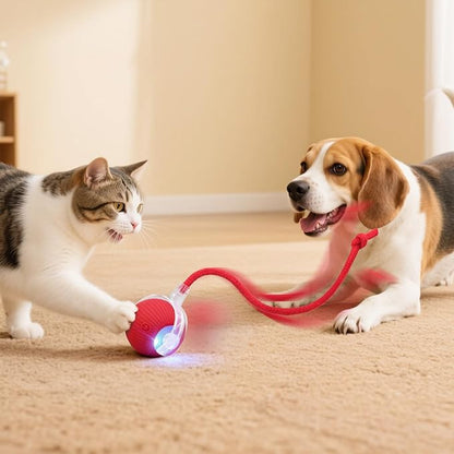 Interactive Electric Automatic Rolling Moving USB Rechargeable Self Activated Play Stimulation Toy Smart Chase Teaser Ball with Speedy Tail Rope for Bored Adult Indoor Cats Puppy Dogs, Blue