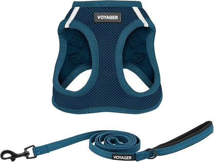 Best Pet Supplies Voyager Step-in Air All Weather Mesh Harness and Reflective Dog 5ft Leash Combo with Neoprene Handle, for Small, Medium and Large Breed Puppies - Set (Blue), Large