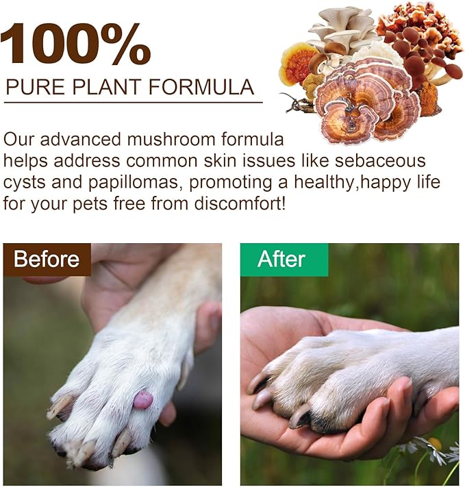 Mushroom Supplement Powder for Dogs & Cats, 2 Pack Turkey Tail Mushroom for Dog, Enriched with Antioxidants, Immune Support, Cellular Protection, Joint & Skin Support, Mushrooms Complex for Pets