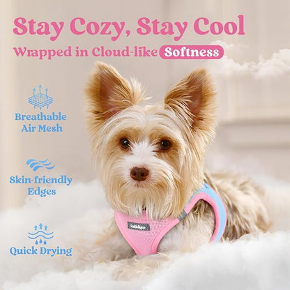 rabbitgoo Small Dog Harness, Step-in Soft Mesh Puppy Vest with Safety Buckle, Breathable Reflective Pet Harness for Small Medium Dogs, Blue & Light Pink XL