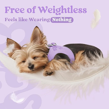 rabbitgoo Small Dog Harness, Step-in Soft Mesh Puppy Vest with Safety Buckle, Breathable Reflective Pet Harness for Small Sized Dogs, Light Purple M
