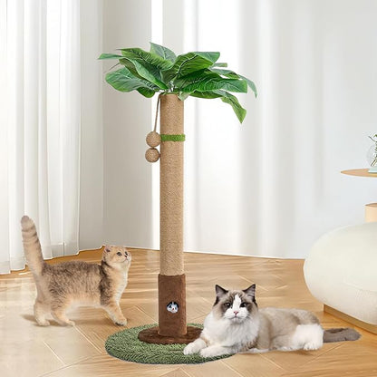 Woochpet Cat Scratching Post for Indoor Cats and Kitten - 35.43" Tall Cat Scratching Post with Sisal Rope,Palm Tree Cat Scratch Post with Hanging Ball (35.4-Green, 35.4in)