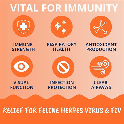 Under The Weather Pet Daily Cat L-Lysine | Boost Immune System Reduce Respiratory Symptoms | Maintain Normal Immune System Response | 60 Star Shaped Soft Chews