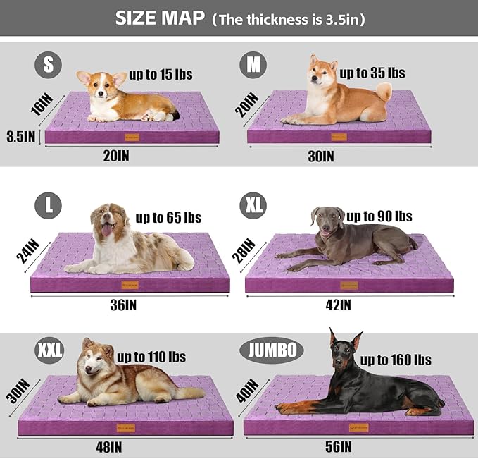 Patas Lague Orthopedic XL Dog Bed Large Sized Dog 42''X28'', Waterproof Soft Comfortable Egg Crate Foam Large Pet Beds Crate Mat with Removable Washable Cover and Nonskid Bottom, Pueple