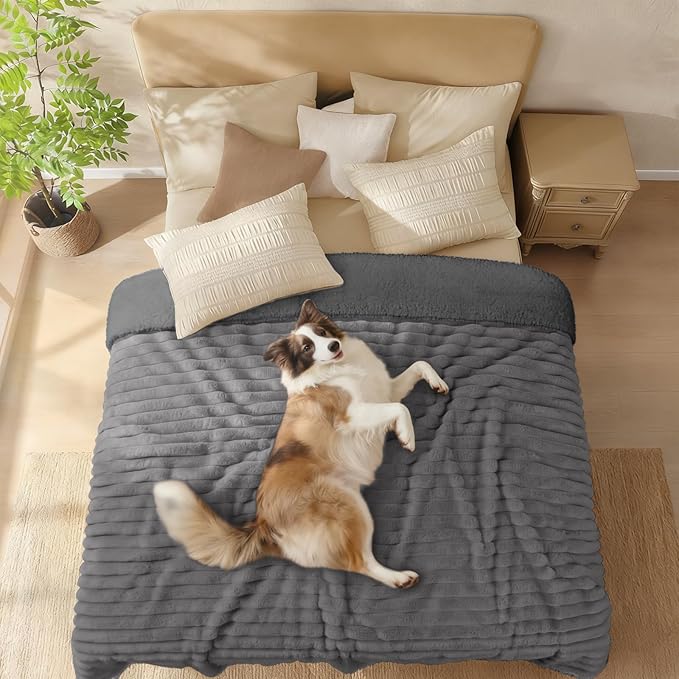 Luciphia Waterproof Dog Blanket for Large Dogs Ultra-Soft Calming Cut Pile Flannel Throw Durable & Warm Furniture Protection for Couch Bed Pet Blanket Machine Washable Stone Gray,L(65''x57'')