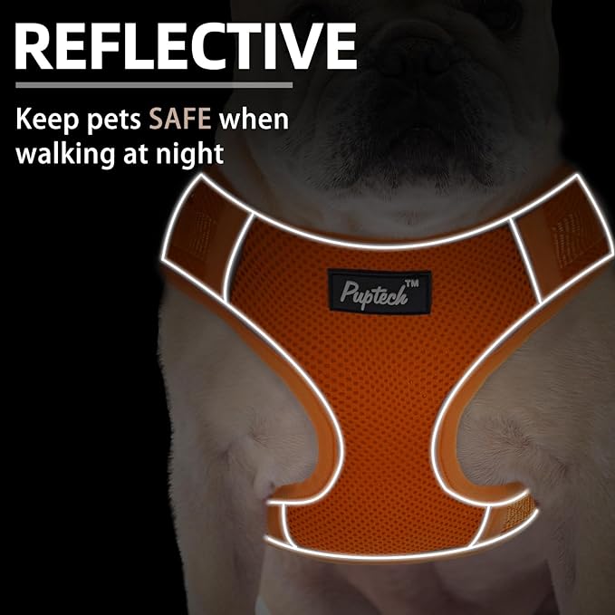 PUPTECK Small Dog Harness and Leash Set, No Pull Adjustable Puppy Cat Harness, Reflective Soft Mesh Pet Vest Small Sized, Orange, M