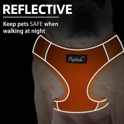 PUPTECK Small Dog Harness and Leash Set, No Pull Adjustable Puppy Cat Harness, Reflective Soft Mesh Pet Vest Small Sized, Orange, M