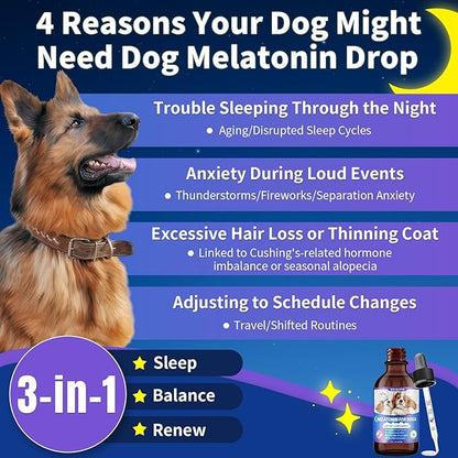WEALLIN Melatonin for Dogs with L-Theanine & Chamomile | Anxiety Relief & Calming, Relaxation & Sleep Support Liquid Dog Melatonin | Fast-Absorbing & Bacon Flavor (1 PC)
