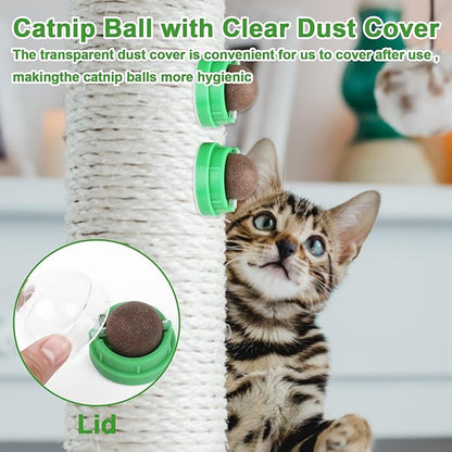 CCINEE 3PCS Catnip Balls for Cats Wall Catnip Toys Edible Cat Toys for Cat Lick Safe Healthy Kitten Chew Toys Teeth Cleaning Dental Cat Toys